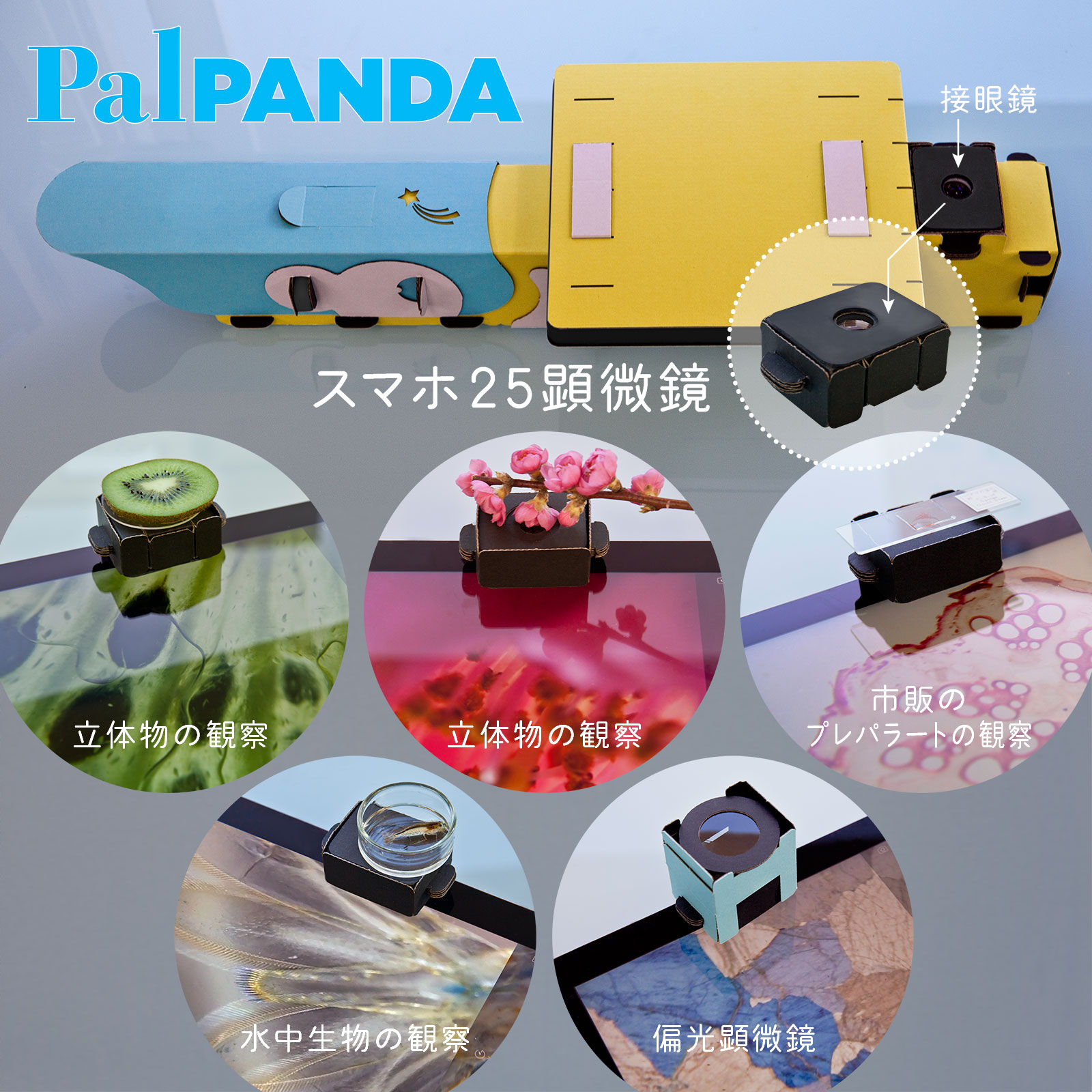 スマホ25顕微鏡