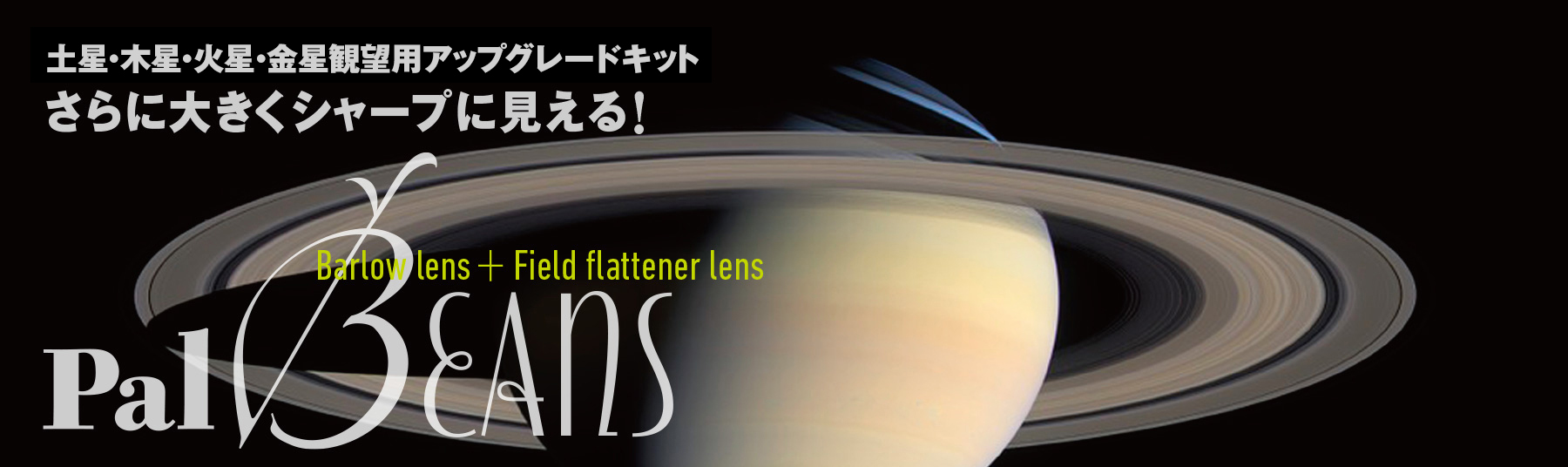 PalBeans_top_02