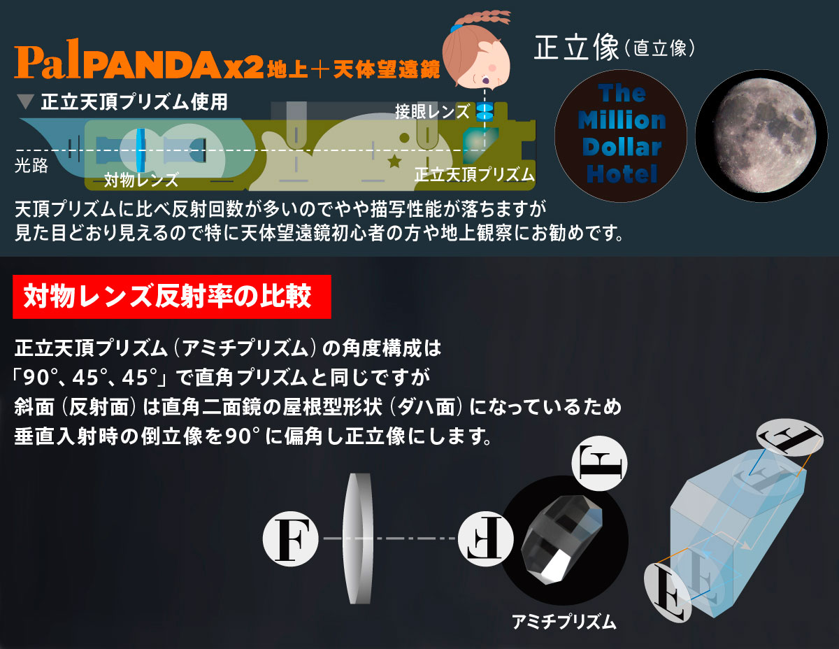 palpandax2の見え方